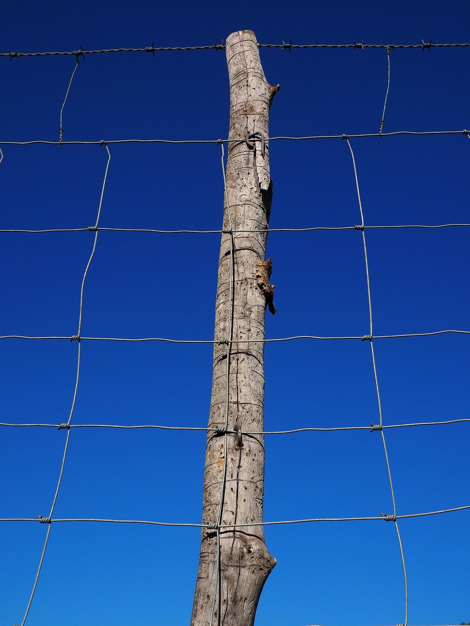 post, stake, fence, wild fence, game protection fence, meshes, wire mesh, knot mesh, forest braid, knot lattice, wild gate, pasture fence, cattle fence, sheep fence, sheep weave, highway fence, dog fence, wire, fenced in, metal, security, delimitation, defense, limitation, barrier